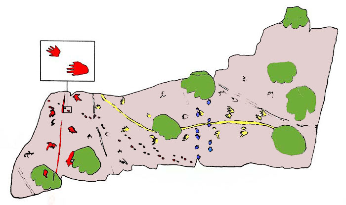 Lastra con piste di sauri